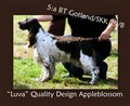 Luva_gotland_5BT.jpg