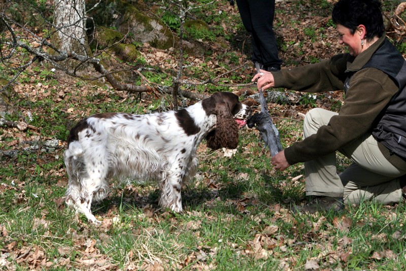 20120506 Funktionsbeskrivning_D_kullen (47).JPG