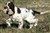 Betty_apport_3½mån 246.jpg