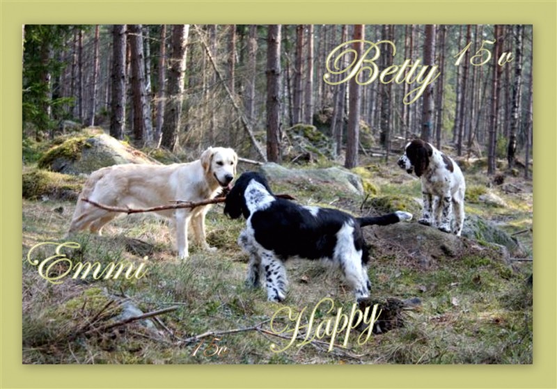 Betty15v_Happy_Emmi_skog.jpg