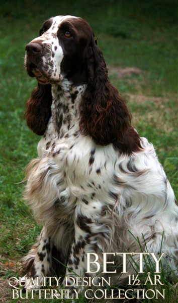 Betty_sommar2011.jpg