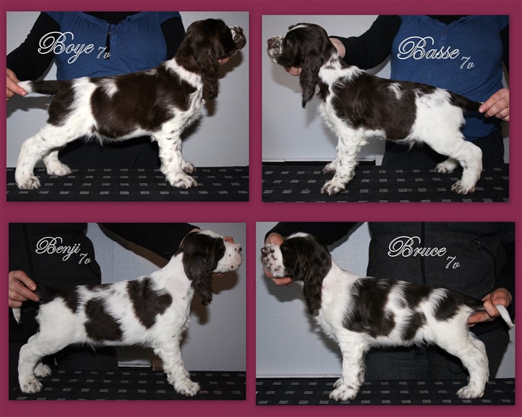 Boye_Basse_Benji_Bruce.jpg