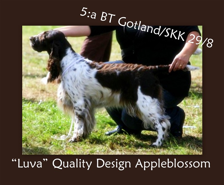 Luva_gotland_5BT.jpg